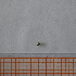  ( - VV8_5_Dip_03)  @11 [ ] CreativeCommons  Attribution Non-Commercial Share-Alike (2023) Unspecified University of Lodz