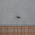  ( - VV9_3_Dip_01)  @11 [ ] CreativeCommons  Attribution Non-Commercial Share-Alike (2023) Unspecified University of Lodz