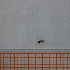  ( - VV9_3_Dip_02)  @11 [ ] CreativeCommons  Attribution Non-Commercial Share-Alike (2023) Unspecified University of Lodz