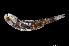  ( - WAL04-M182-19)  @11 [ ] Copyright (2018) Elodie Vourey Pacific Community