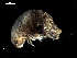  ( - MJR-ISO-0004)  @11 [ ] CreativeCommons - Attribution Non-Commercial Share-Alike (2017) Michael Raupach Carl von Ossietzky University