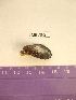  ( - LMBV6-002)  @12 [ ] Unspecified (default): All Rights Reserved  Unspecified Unspecified