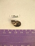  ( - LMBV6-003)  @12 [ ] Unspecified (default): All Rights Reserved  Unspecified Unspecified