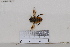  ( - BJCP2020054)  @11 [ ] Unspecified (default): All Rights Reserved  Unspecified Unspecified