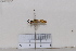  ( - BJCP2020065)  @11 [ ] Unspecified (default): All Rights Reserved  Unspecified Unspecified