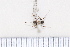  ( - BJCP2020082)  @11 [ ] Unspecified (default): All Rights Reserved  Unspecified Unspecified
