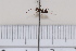  ( - BJCP2020082)  @11 [ ] Unspecified (default): All Rights Reserved  Unspecified Unspecified