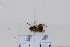  ( - BJCYAT2020005)  @11 [ ] Unspecified (default): All Rights Reserved  Unspecified Unspecified