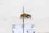  ( - BJCYAT2020005)  @11 [ ] Unspecified (default): All Rights Reserved  Unspecified Unspecified
