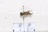  ( - BJCYAT2020015)  @11 [ ] Unspecified (default): All Rights Reserved  Unspecified Unspecified