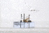  ( - BJFT2020032)  @11 [ ] Unspecified (default): All Rights Reserved  Unspecified Unspecified
