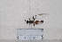  ( - BJMTG2020010)  @11 [ ] Unspecified (default): All Rights Reserved  Unspecified Unspecified