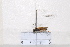  ( - BJMTG2020013)  @11 [ ] Unspecified (default): All Rights Reserved  Unspecified Unspecified