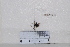  ( - BJMTG2020022)  @11 [ ] Unspecified (default): All Rights Reserved  Unspecified Unspecified