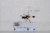  ( - BJMTG2020024)  @11 [ ] Unspecified (default): All Rights Reserved  Unspecified Unspecified