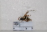  ( - BJMTG2020052)  @11 [ ] Unspecified (default): All Rights Reserved  Unspecified Unspecified