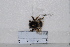 ( - BJMTG2020060)  @11 [ ] Unspecified (default): All Rights Reserved  Unspecified Unspecified