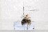  ( - BJMTG2020060)  @11 [ ] Unspecified (default): All Rights Reserved  Unspecified Unspecified