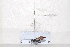  ( - BJMTG2020064)  @11 [ ] Unspecified (default): All Rights Reserved  Unspecified Unspecified