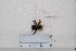  ( - BJMTG2020110)  @11 [ ] Unspecified (default): All Rights Reserved  Unspecified Unspecified