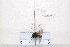  ( - BJMTG2020110)  @11 [ ] Unspecified (default): All Rights Reserved  Unspecified Unspecified