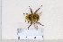  ( - BJYQ2020070)  @11 [ ] Unspecified (default): All Rights Reserved  Unspecified Unspecified