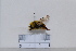  ( - BJYQ2020070)  @11 [ ] Unspecified (default): All Rights Reserved  Unspecified Unspecified