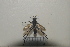  ( - 2021BJMYKYC12)  @11 [ ] Unspecified (default): All Rights Reserved  Unspecified Unspecified