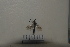  (Pristocera formosana - 2021BJMYKYC8)  @11 [ ] Unspecified (default): All Rights Reserved  Unspecified Unspecified