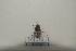  ( - 2021BJPGBZ18)  @11 [ ] Unspecified (default): All Rights Reserved  Unspecified Unspecified