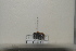  ( - 2021BJPGBZ29)  @11 [ ] Unspecified (default): All Rights Reserved  Unspecified Unspecified