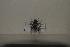  ( - BJMTG2021113)  @11 [ ] Unspecified (default): All Rights Reserved  Unspecified Unspecified