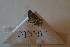  ( - 3TBF011)  @11 [ ] CreativeCommons - Attribution Non-Commercial No Derivatives (2018) Sing Kong Wah Kunming Institute of Zoology