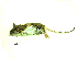  ( - mambg002)  @12 [ ] Copyright  G. Blagoev 2012 Unspecified