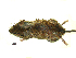  ( - mambg009)  @12 [ ] Copyright  G. Blagoev 2012 Unspecified