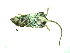  ( - mambg010)  @12 [ ] Copyright  G. Blagoev 2012 Unspecified