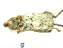  ( - mambg015)  @12 [ ] Copyright  G. Blagoev 2012 Unspecified