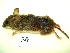  ( - mambg030)  @13 [ ] Copyright  G. Blagoev 2012 Unspecified
