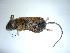  ( - mambg047)  @12 [ ] Copyright  G. Blagoev 2012 Unspecified
