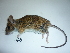  ( - mambg048)  @14 [ ] Copyright  G. Blagoev 2012 Unspecified