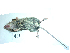 ( - mambg049)  @12 [ ] Copyright  G. Blagoev 2012 Unspecified