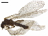  ( - 08BKEPT-119)  @11 [ ] CreativeCommons - Attribution (2019) CBG Photography Group Centre for Biodiversity Genomics