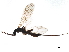  ( - 08BKEPT-135)  @12 [ ] CreativeCommons - Attribution (2019) CBG Photography Group Centre for Biodiversity Genomics