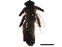  ( - 08BKEPT-136)  @12 [ ] CreativeCommons - Attribution (2019) CBG Photography Group Centre for Biodiversity Genomics