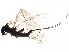  ( - 08BKEPT-137)  @12 [ ] CreativeCommons - Attribution (2019) CBG Photography Group Centre for Biodiversity Genomics