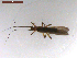  ( - BIOUG00638-D08)  @12 [ ] CreativeCommons - Attribution (2011) CBG Photography Group Centre for Biodiversity Genomics