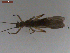  ( - BIOUG00638-D11)  @12 [ ] CreativeCommons - Attribution (2011) CBG Photography Group Centre for Biodiversity Genomics