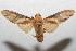  ( - 07-SRNP-106112)  @14 [ ] CreativeCommons - Attribution Non-Commercial Share-Alike (2008) Unspecified Guanacaste Dry Forest Conservation Fund