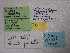  ( - IO-241)  @11 [ ] CreativeCommons - Attribution Non-Commercial (2018) Issei Ohshima Kyoto Prefectural University