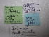  ( - IO-242)  @11 [ ] CreativeCommons - Attribution Non-Commercial (2018) Issei Ohshima Kyoto Prefectural University